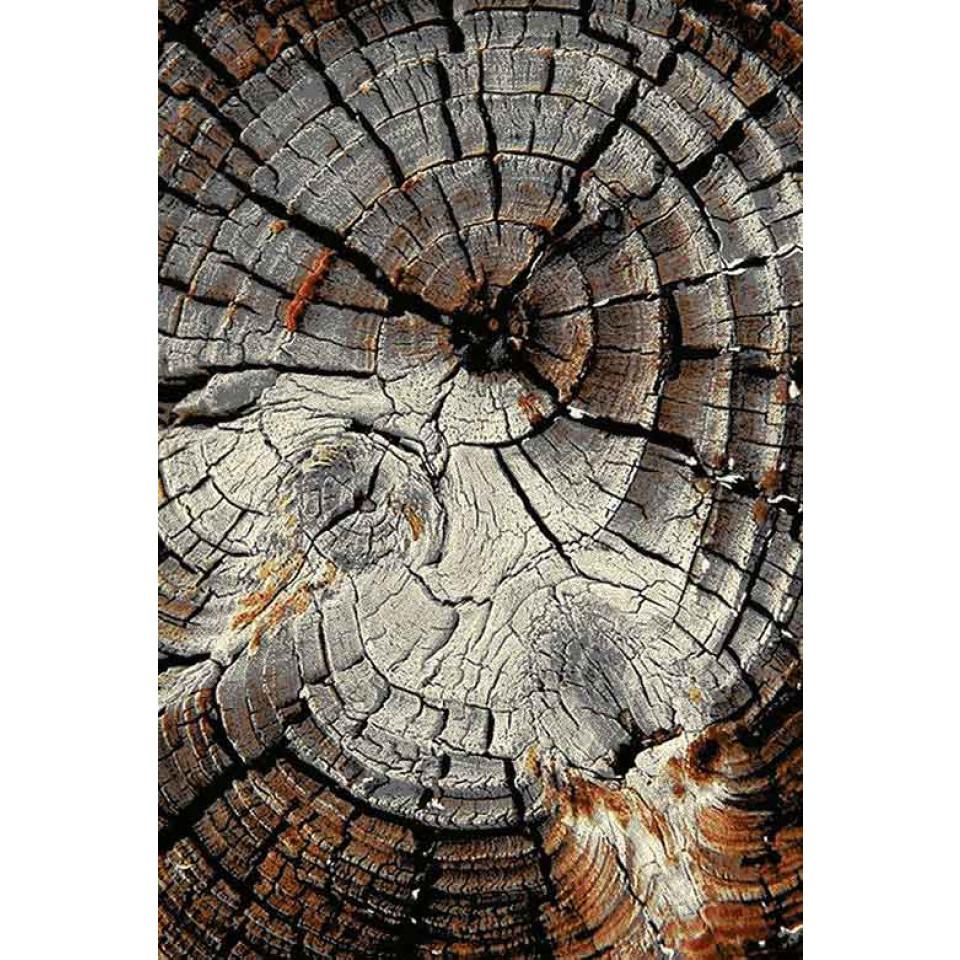 فرش سه بعدی 4 متری مدل تنه درخت