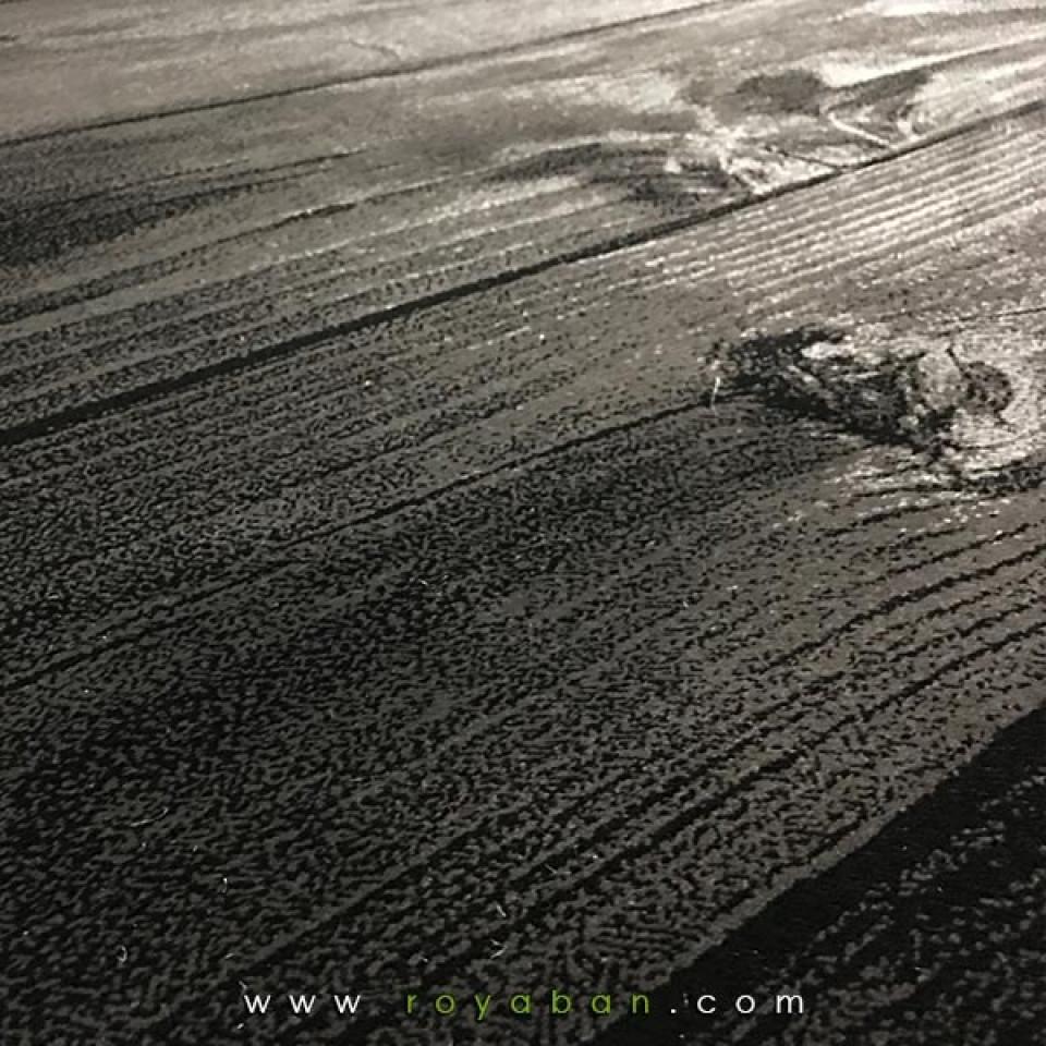 فرش سه بعدی چهارمتری مدل چوب