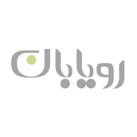 سینک استیل روکار استیل البرز مدل 260/50